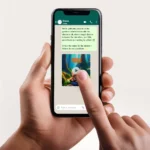 whatsapp-invitation-animated-video-text whatsapp invitation animated video text