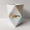 origami-windlicht-garnele-kollektion-meeresbrise Sand-Türkises Origami-Windlicht zum Basteln mit maritimem Garnelen-Motiv, Kollektion Meeresbrise.