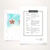 starfish paper starfish lantern instructions